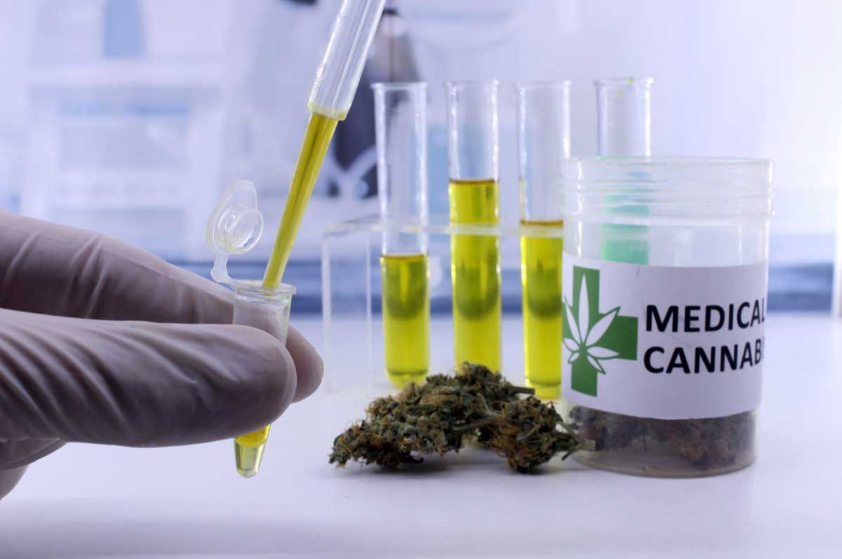 Morocco votes in Favor of Medicinal Cannabis in a Historic UN Vote