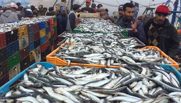 Drop in Coastal and Artisanal Fishing Returns