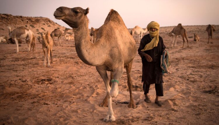 Spain reiterates its stand on the Moroccan Sahara Issue