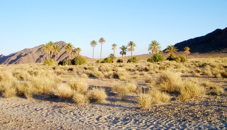 While Algeria Deports Moroccan Farmers, Morocco Avoids Reciprocity