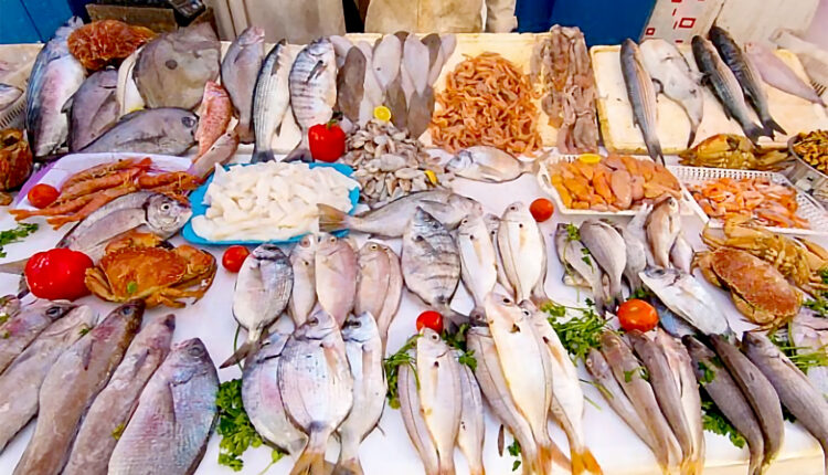 Morocco and The Basque Country Explore Investment Opportunities in the Fishing Sector