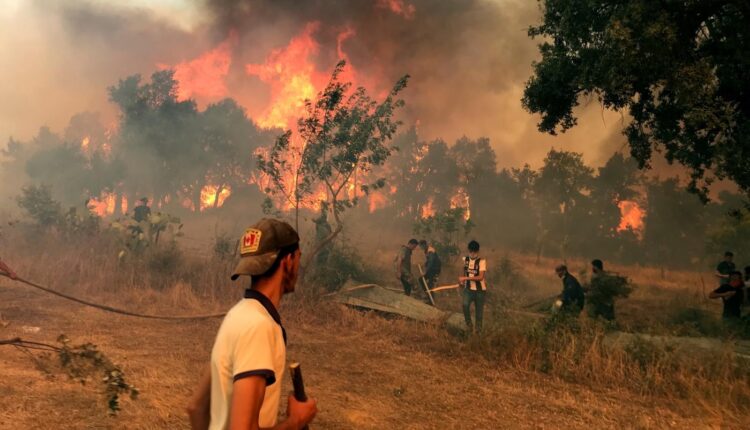 Algeria ignores Morocco aid