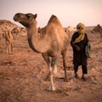 Spain reiterates its stand on the Moroccan Sahara Issue