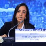 The Region of Guelmim-Oued-Noun supports the Victories of Royal Diplomacy