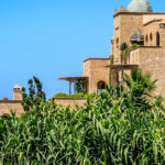 Qatar's tempering with Animal Evolution in South Morocco coincides with Morocco's sovereignty over its territory triggers anger among Moroccans