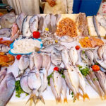 Morocco and The Basque Country Explore Investment Opportunities in the Fishing Sector
