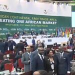 AU Extraordinary Summits