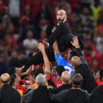 Moroccan Atlas Lions