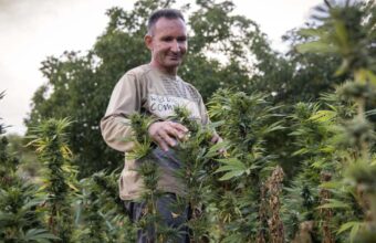 Licensed farmers in Al Hoceima tending Beldia cannabis crops across 844 hectares, 2025 season