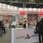 Visitors attend the Al Omrane “Moroccans of the World 2026 Expo” in Brussels.