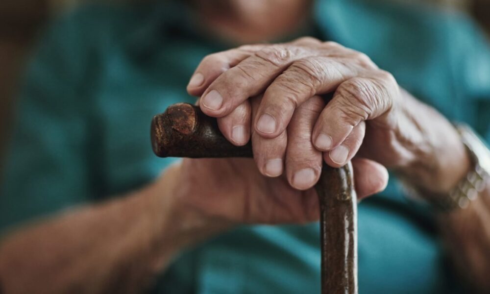 Built for children. Carrying the elderly. Flowing to the cities.