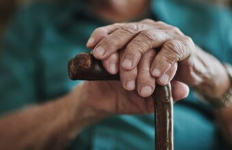 Built for children. Carrying the elderly. Flowing to the cities.
