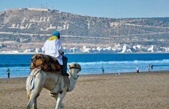 Agadir's sandy beaches and warm September sea make it a standout pick for late-summer travel